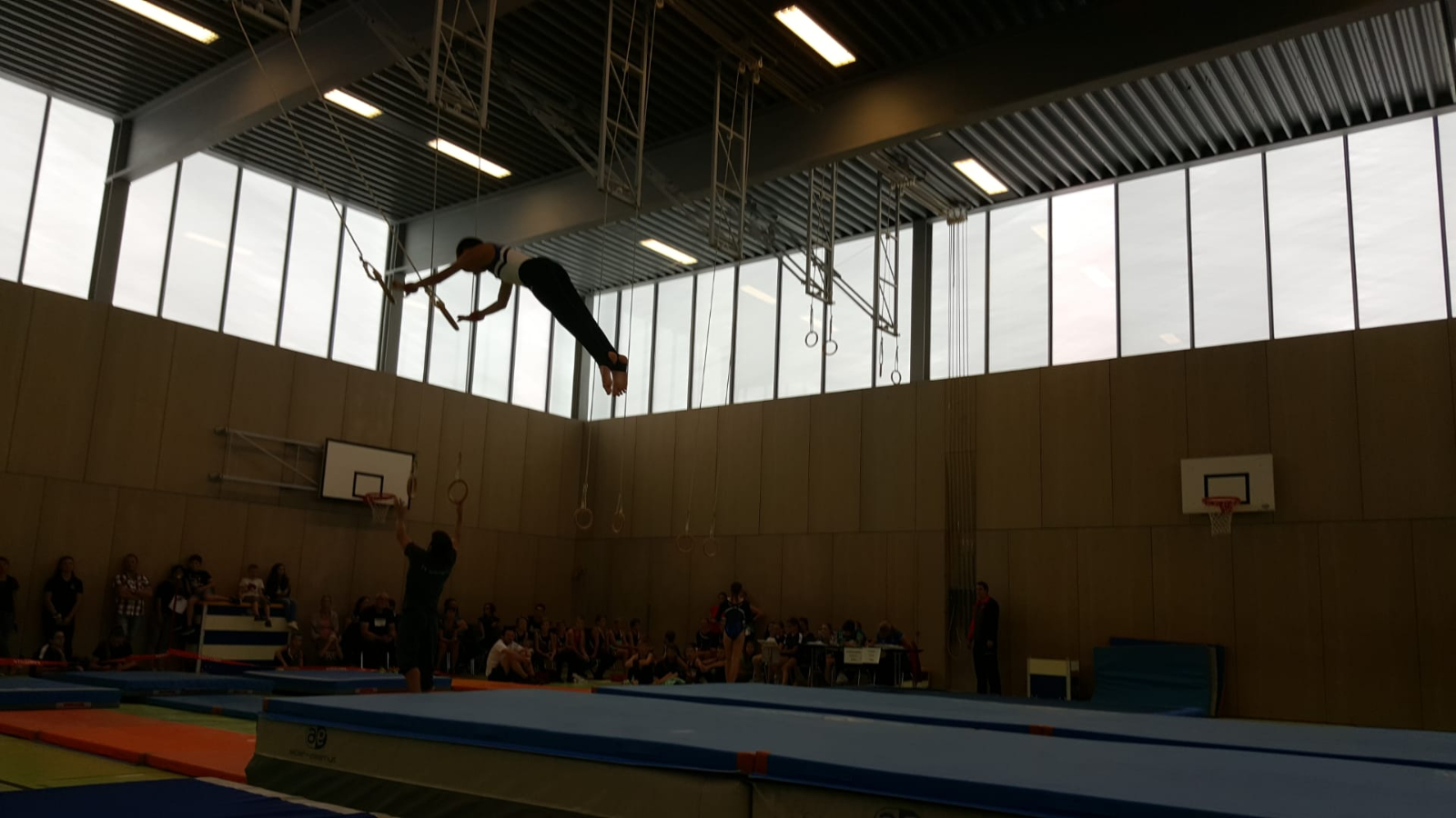 Bild (54)